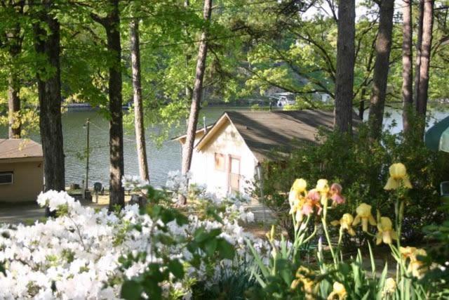 Edgewater Resort Cottage #1 Хот-Спрингс Экстерьер фото